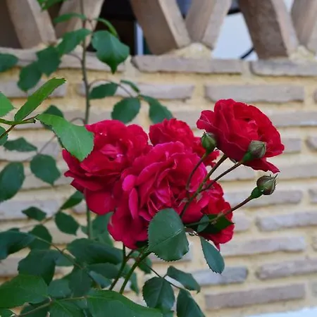 Apartament Elegant Maisonettes Kalamákion